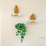 Апартаменти Ocean Vista Ponderosa Iii